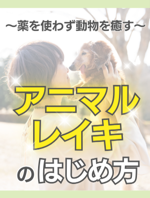 無料申し込みバナー