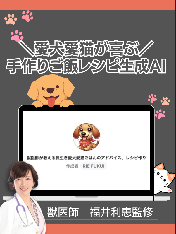 老猫の食欲不振を改善するための実践ガイド 獣医師監修6