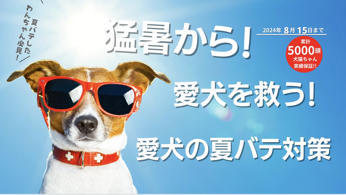 猛暑から愛犬を救う！夏バテ対策小冊子