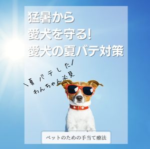 猛暑から愛犬を救う！愛犬の夏バテ対策