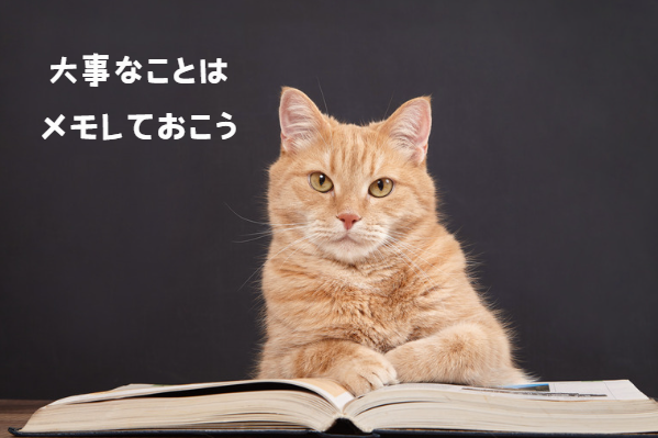 捨て猫を拾ったらどう対応する？初心者向けガイドと注意点　獣医師監修３