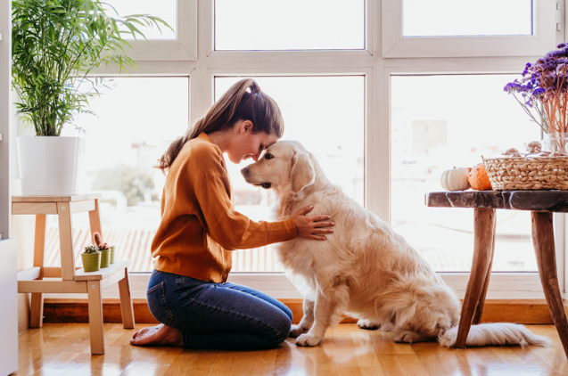 犬の肥満細胞腫とは？愛犬の健康を守るための知識と対策　獣医師監修１０