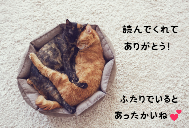 冬を乗り切る！猫の寒さ対策と快適な過ごし方のヒント　獣医師監修１３