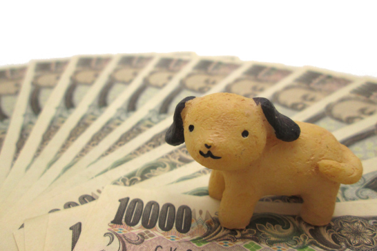 ペット信託の仕組み解説！飼い主のもしもの時にペットを安心して託す方法　獣医師監修３