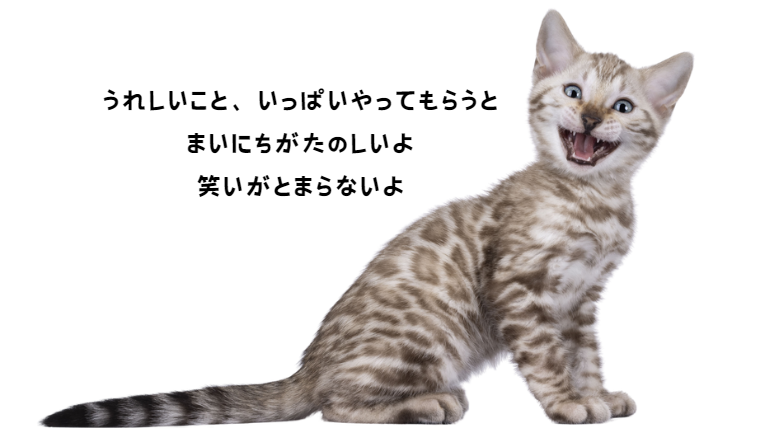 見逃さないで！猫のストレスが病気を引き起こす前にできること【獣医師監修】13