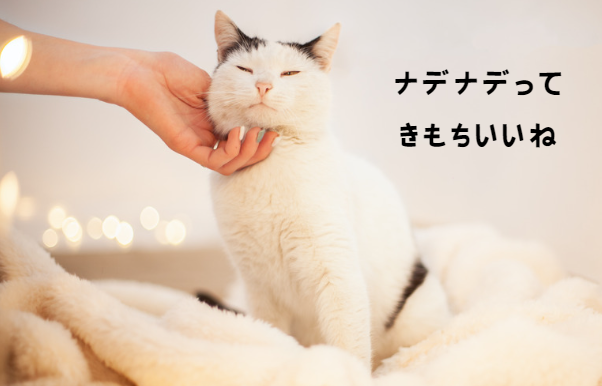 見逃さないで！猫のストレスが病気を引き起こす前にできること【獣医師監修】10