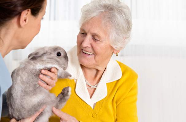 ペット信託の仕組み解説！飼い主のもしもの時にペットを安心して託す方法　獣医師監修４