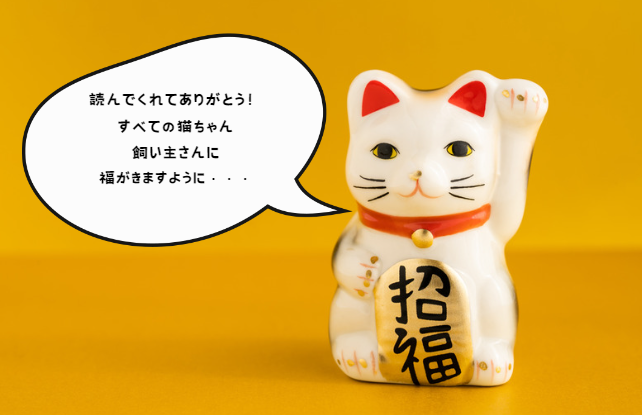 猫の顎ニキビって何？原因と予防方法を徹底解説！　獣医師監修８