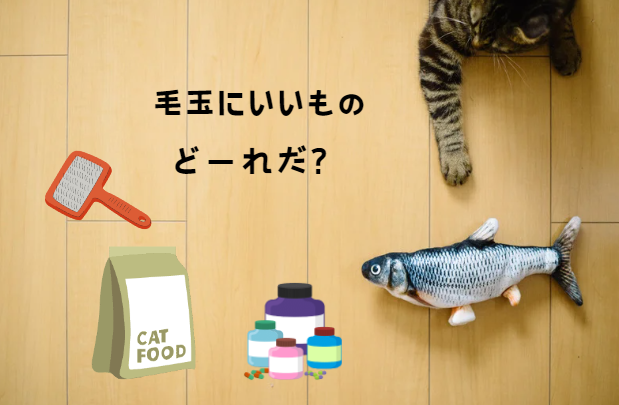 猫の毛球症を防ぐ方法: 知っておくべきポイント　獣医師監修４