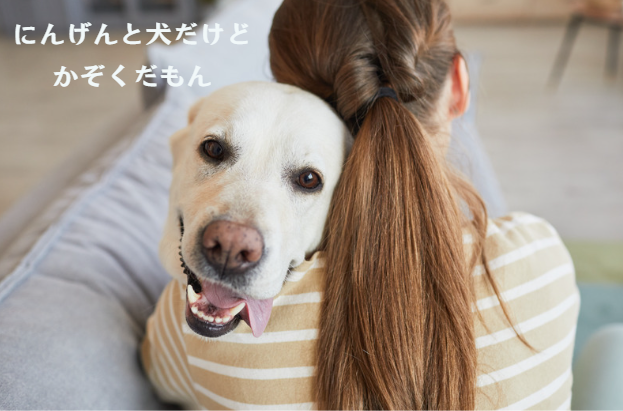 ペット信託の仕組み解説！飼い主のもしもの時にペットを安心して託す方法　獣医師監修５