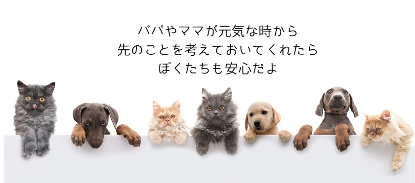 ペット信託の仕組み解説！飼い主のもしもの時にペットを安心して託す方法　獣医師監修２