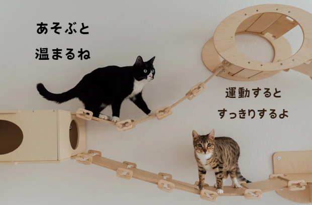 冬を乗り切る！猫の寒さ対策と快適な過ごし方のヒント　獣医師監修８