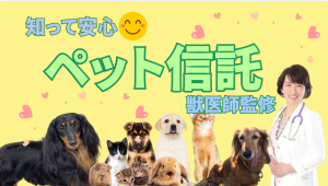 ペット信託の仕組み解説!飼い主のもしもの時にペットを安心して託す方法 獣医師監修1