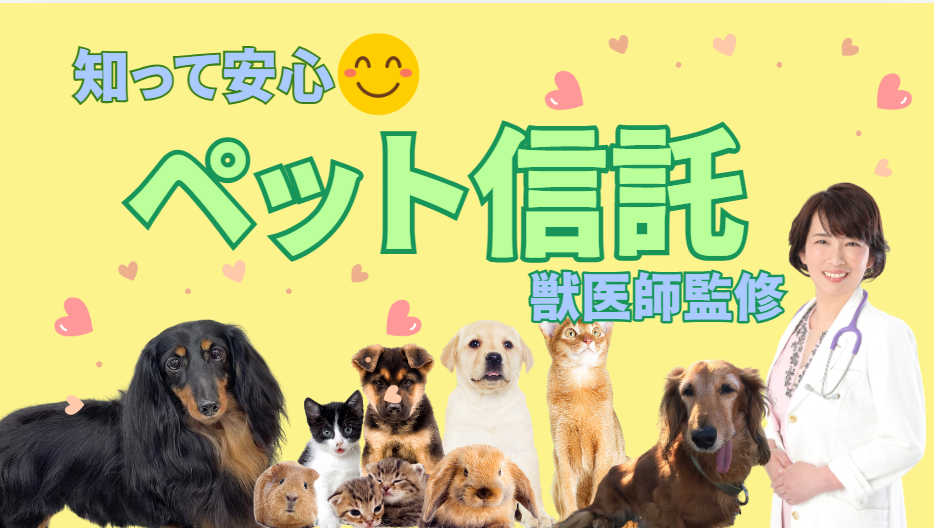 ペット信託の仕組み解説！飼い主のもしもの時にペットを安心して託す方法　獣医師監修１
