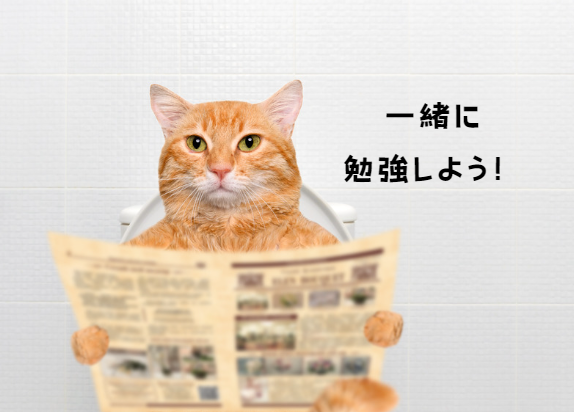 猫の膀胱炎：症状から予防まで、飼い主が知っておくべきこと　獣医師監修２