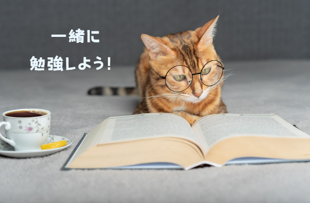 猫が胃腸炎？原因と症状、病院に行くべきタイミングと家庭ケア　獣医師監修２