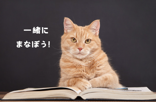 猫の甲状腺機能亢進症：原因と症状、診断方法から飼い主ができるケアまで　獣医師監修２