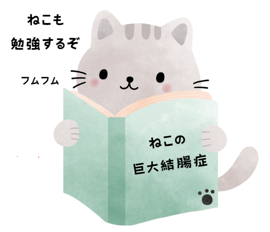 猫の巨大結腸症：症状、原因、そして家庭でのケア方法　獣医師監修２