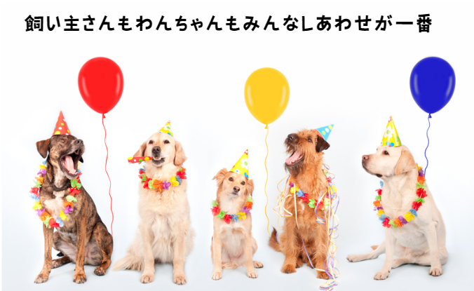 愛犬が胆泥症と診断されたら？原因やリスク、家庭でできる予防法を知っておこう！獣医師監修8