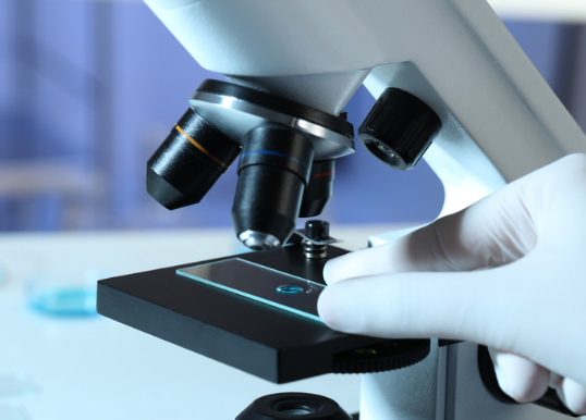 犬の皮膚糸状菌症とは？症状、診断、治療法と家庭でできるケア完全ガイド　獣医師監修4