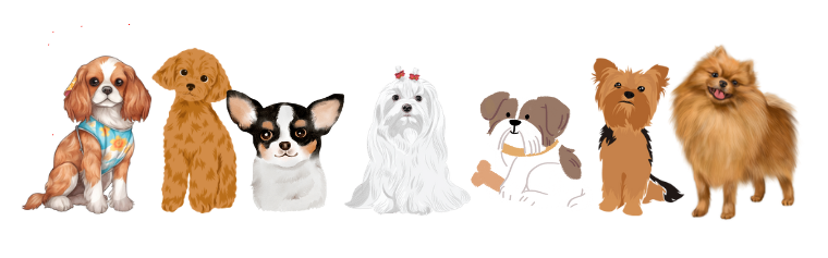 犬の僧帽弁閉鎖不全症とは？症状から治療、飼い主ができることまで　獣医師監修２