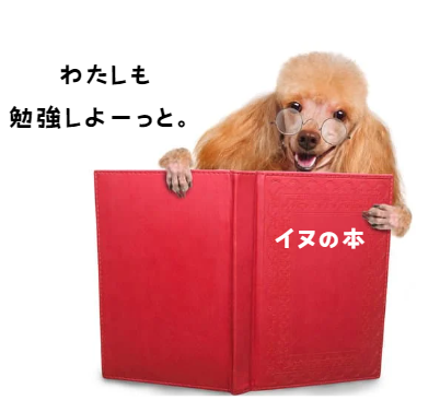 犬の皮膚糸状菌症とは？症状、診断、治療法と家庭でできるケア完全ガイド　獣医師監修2
