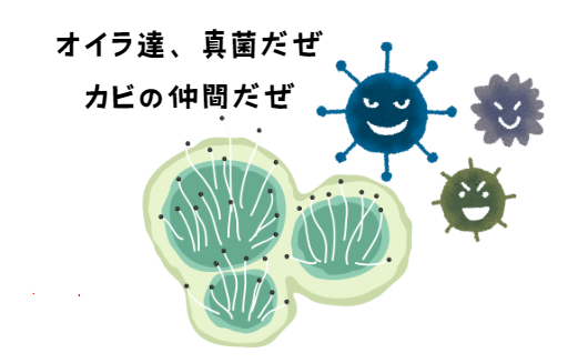 犬の皮膚糸状菌症とは？症状、診断、治療法と家庭でできるケア完全ガイド　獣医師監修3