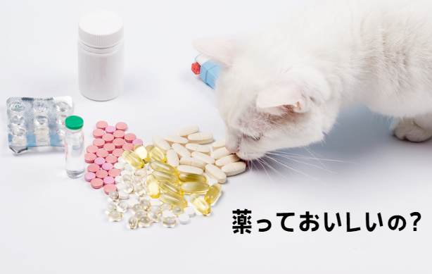 もし愛猫が猫伝染性腹膜炎になったら？原因・症状・飼い主さんができること【獣医師監修】8