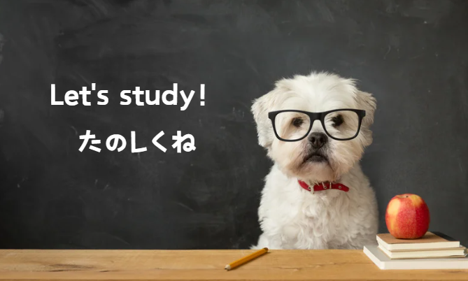 犬の命を守る！フィラリア症の予防と対策ガイド　獣医師監修２