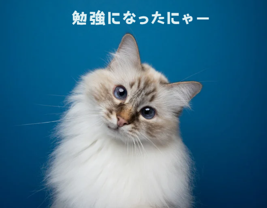 もし愛猫が猫伝染性腹膜炎になったら？原因・症状・飼い主さんができること【獣医師監修】１３