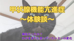 病気だったの？わがままだと思っていたドミーの変化～甲状腺機能亢進症～1