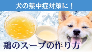 熱中症対策おすすめスープレシピ