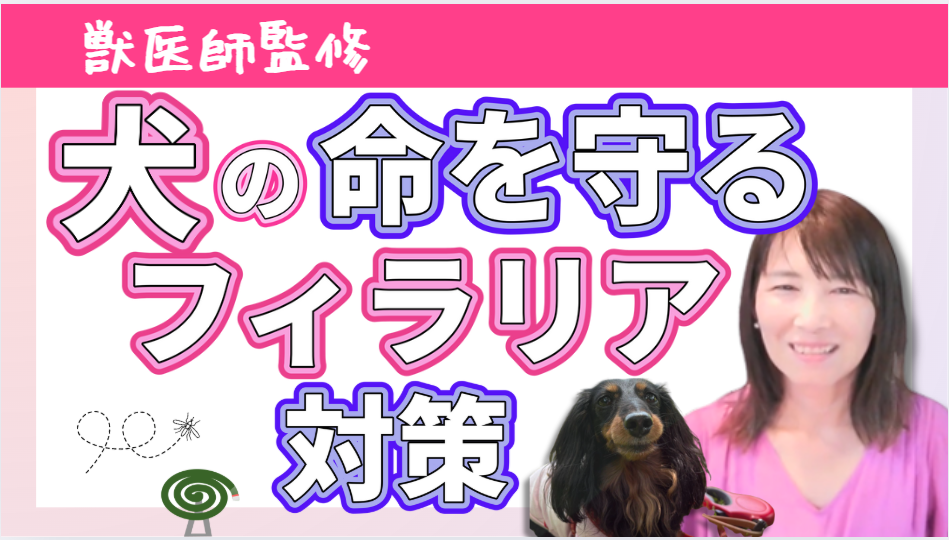 犬の命を守る！フィラリア症の予防と対策ガイド　獣医師監修1